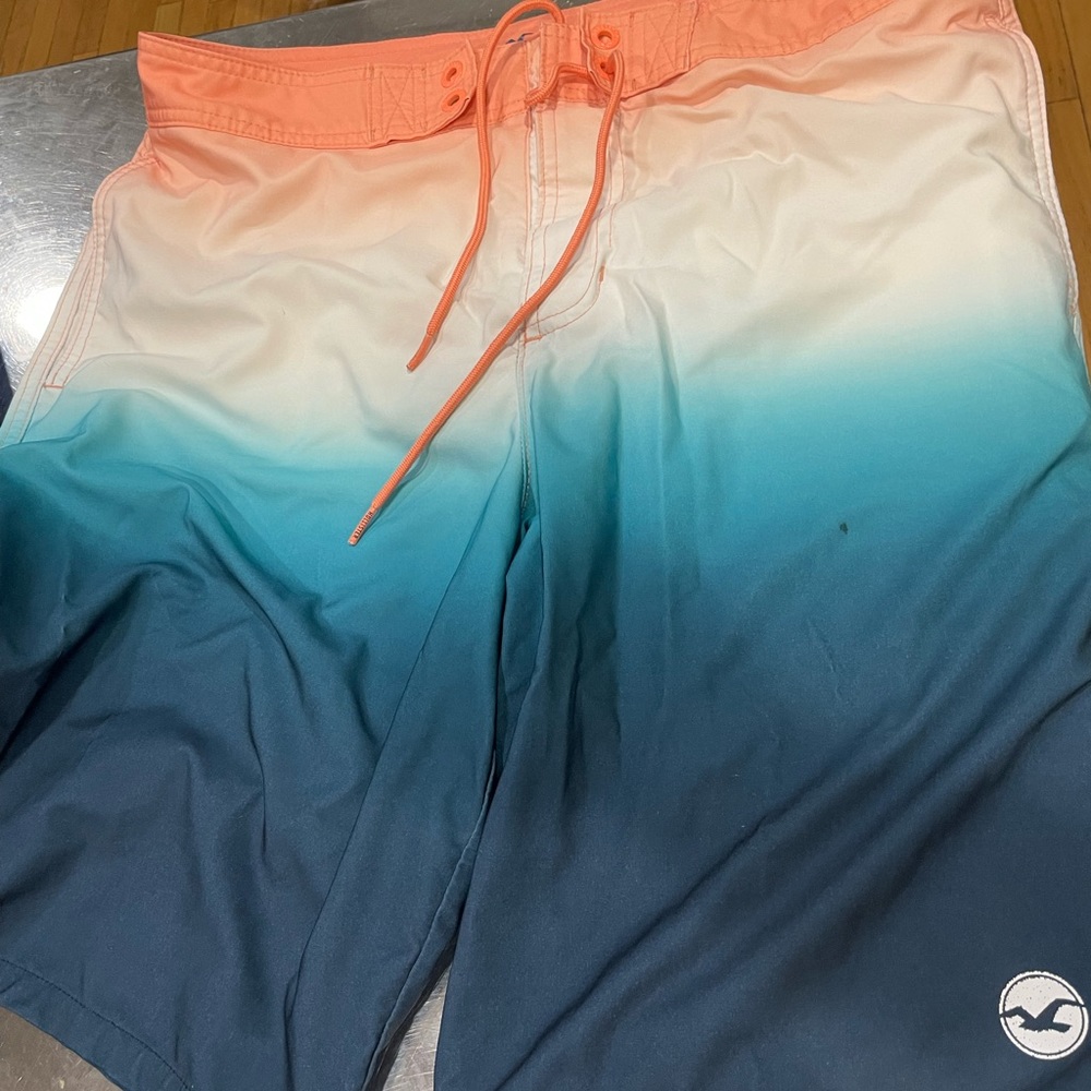 Men’s Hollister Medium Bathing Suit